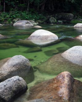 Mossman Gorge