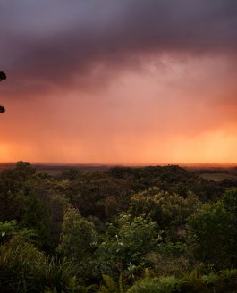 Tropical Storm